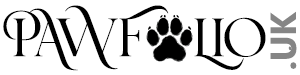 Pawfolio Pet Portraits